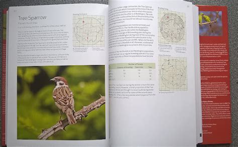 Non Stop Birding The London Bird Atlas