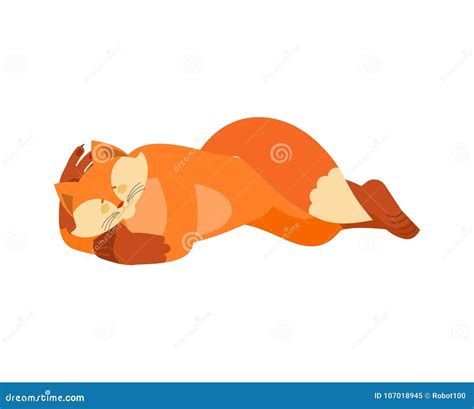 Fox Sleeping Animal Asleep She Fox Dormant Vector Illustration