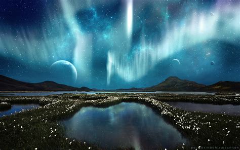 Aurora Borealis Northern Lights Landscape Night Stars Flowers Marsh
