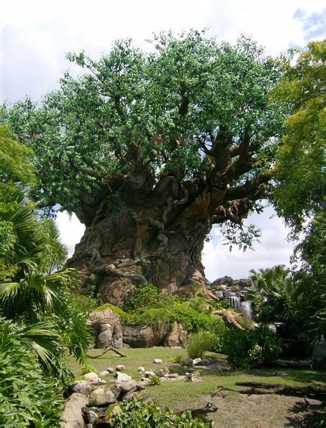 Tree Of Life Disney Wiki