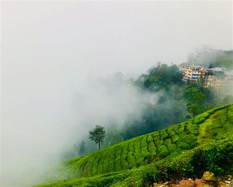 Top Places To Visit In Munnar Hill Stationkerala Meglobetrotter