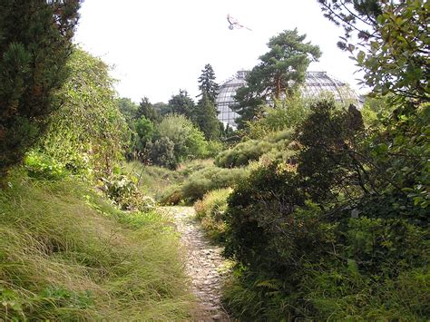 Check spelling or type a new query. Botanischer Garten Und Botanisches Museum Berlin-Dahlem