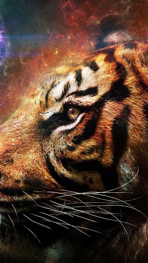 Abstract Tiger Wallpaper Wallpapersafari