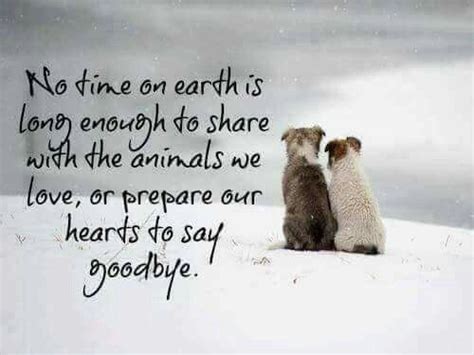 Nice Goodbye To Both A Pet Or Human Pet Grief Dog Poems Dog Quotes