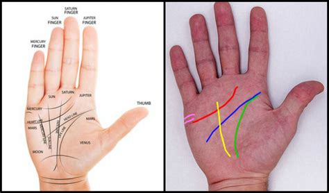 Como Leer Las Lineas De Las Manos Y Su Significado Relacionados Leer