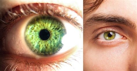 Ojos Verdes Los 8 Datos Curiosos Que Seguro No Sabías Bioguia