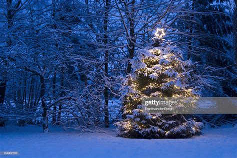 Christmas Tree With Lights In The Snow High Res Stock