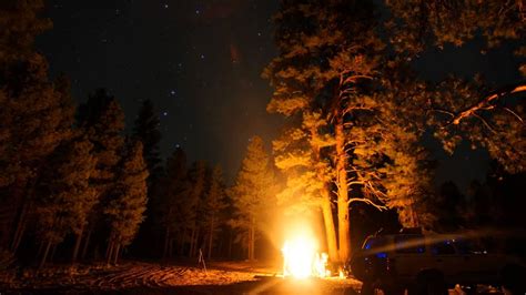 Williams Arizona Forest Campfire At Night Youtube