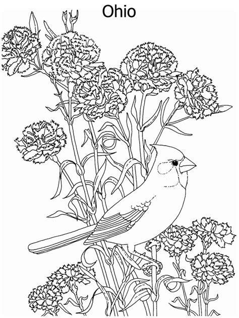 Https://wstravely.com/coloring Page/free Printable Coloring Pages Of Birds