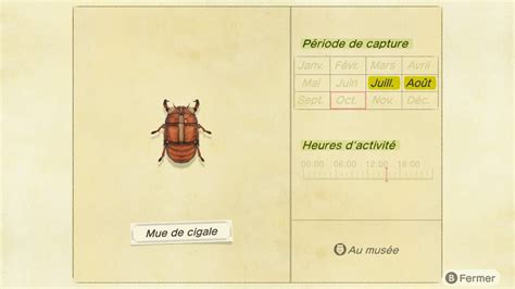 Liste des insectes Animal Crossing New Horizons | Guide