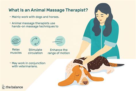 Massage therapist salaries vary drastically based on experience, skills, gender, or location. Animal Massage Therapist Job Description: Salary & More