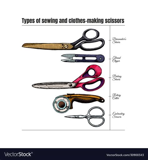 Types Sewing And Clothes Making Scissors Vector Image
