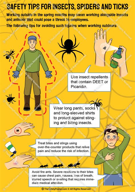 Safety Tips For Insects Spiders And Ticks Safety Tips Earthquake