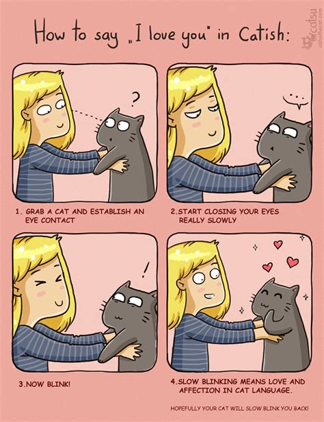 How To Say I Love You In Cat Ish R Wholesomememes