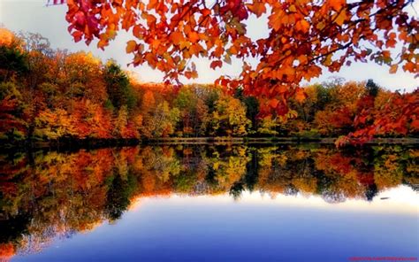 River Side Autumn Forest Desktop Background Important
