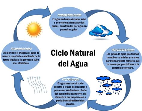 Cuadro Sinoptico Del Ciclo Del Agua Y De Sus Estados Cuadro Comparativo