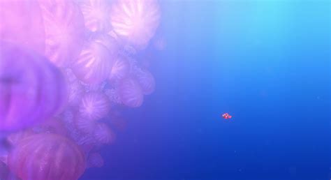 Finding Nemo 1900×1036 Tags Wallpaper Widescreen Water Sea