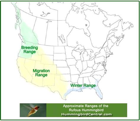 Map Showing The Approximate Migration And Breeding Ranges Of The Rufous