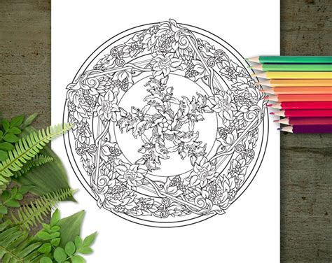 Secret Garden Coloring Page Printable Adult Coloring Books Etsy