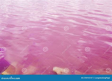 Salins Pink Coloured Salt Marshes Stock Image Image Of France