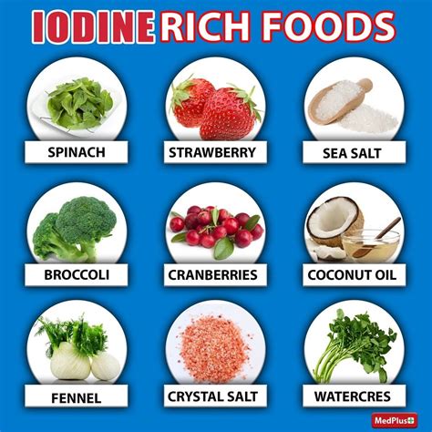 Img Iodine Rich Foods Health Healthy Mind