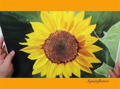 How To Paint A Sunflower Realistically Watercolorpainting