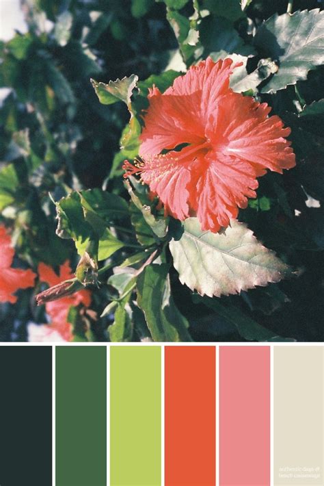 Hawaiian Flower Color Palette For The Home Paint
