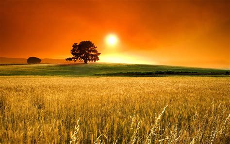 Shining Sunny Day Cool Nature Wallpapers Amazing Landscape Organic