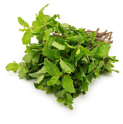 Mint Leaves 100g Tekka Bazzar