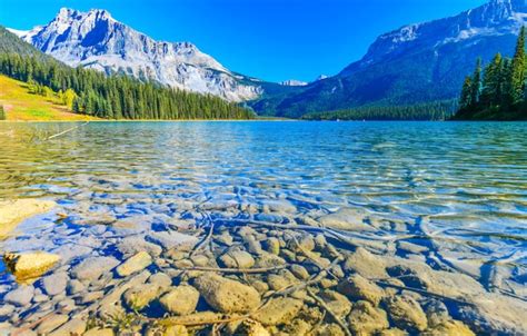 Emerald Lake Parque Nacional Yoho En Canadá Foto Premium