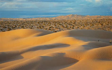 El Desierto De Sonora Un Lugar Infernal En El Mundo Nuestroclima