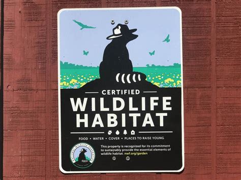 Turn Your Yard Into A Certified Wildlife Habitat