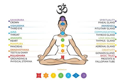 Chakra Chart Chakra Meanings Kundalini Kundalini Yoga Kulturaupice