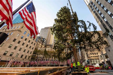 This Years Rockefeller Center Christmas Tree Sums Up 2020 Perfectly
