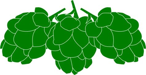 Hops Vector Free Download Clip Art Library