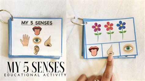 My 5 Senses Learning Activity For Toddlers Youtube