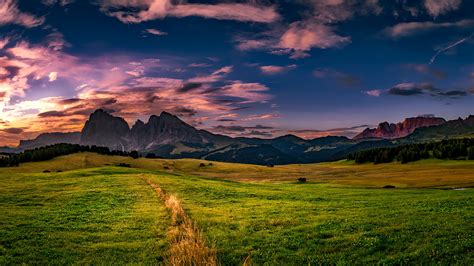 Free Images Landscape Tree Nature Horizon Wilderness Cloud Sky