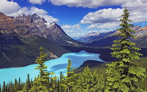 Banff National Park Canada Moraine Lake Landscape Blue Lake Crude Rocky Mountains Pine Forest
