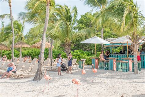 How To Visit Flamingo Beach Aruba Gringa Journeys