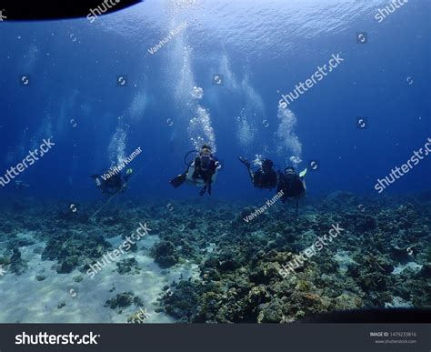 Scuba Diving Havelock Andaman Discover Magical Stock Photo 1479233816