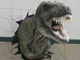 Real Dinosaur Fossil Museum
