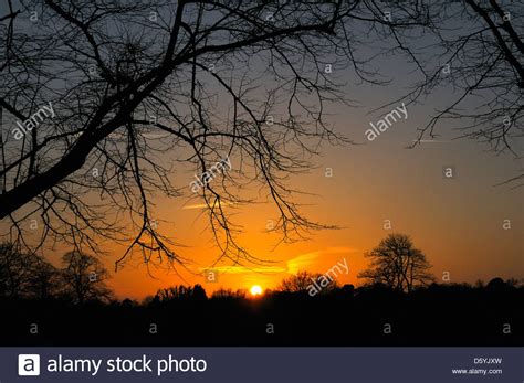 Silhouette Winter Scene Hi Res Stock Photography And Images Alamy