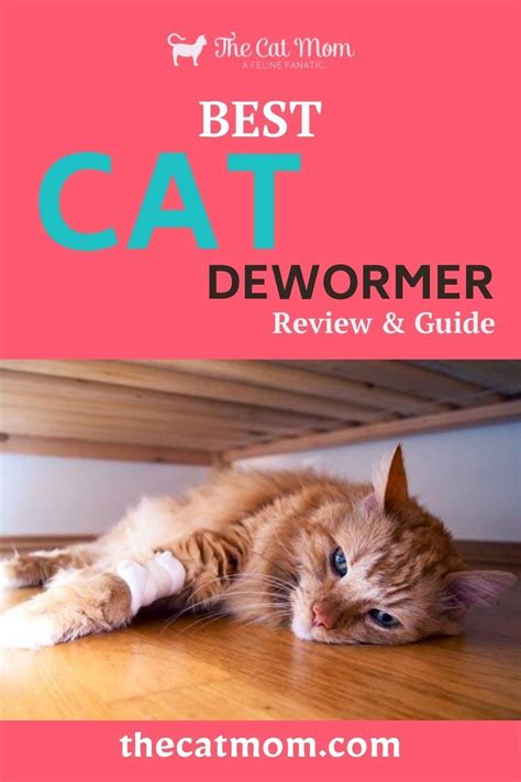The Best Cat Dewormer Review And Guide Cat Dewormer Cats Cool Cats