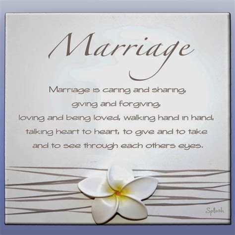 Wedding Day Quotes For The Bride And Groom Good Morning Wishesgood