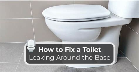 How To Fix A Toilet Leaking Around The Base Kitchen Infinity