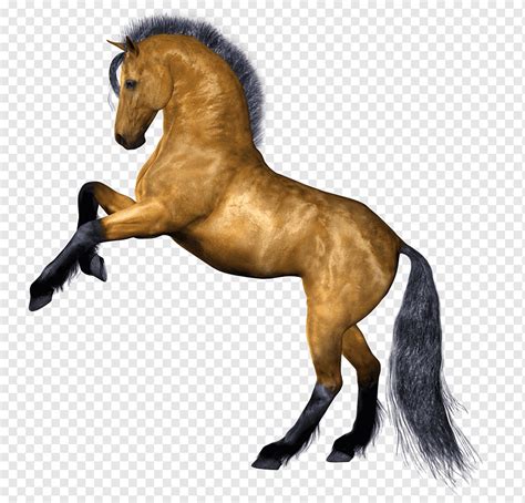 Gambar mewarnai unicorn kuda gambar mewarnai hewan unicorn. 34+ Trend Gambar Sketsa Kuda Nil Terlengkap | Bol4gol