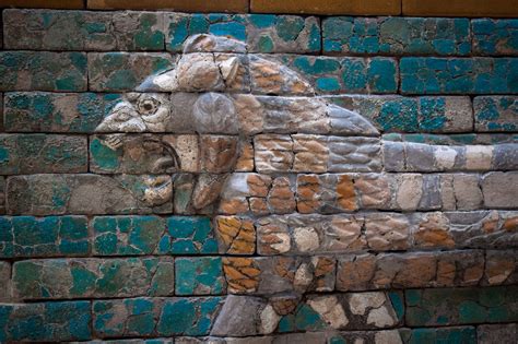Mesopotamian Lion Detail On Processional Way Of Babylon Pergamon