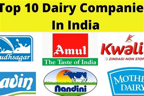 Top Best Dairy Companies In India In Inventiva