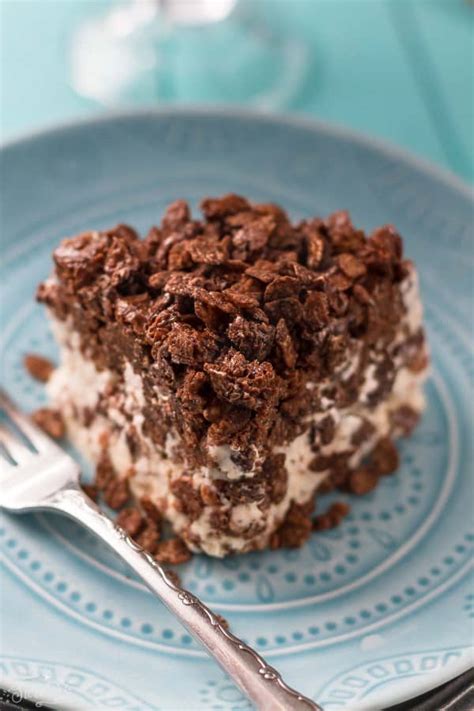 Chocolate Ice Cream Cake Recipe With Coffee Crunch