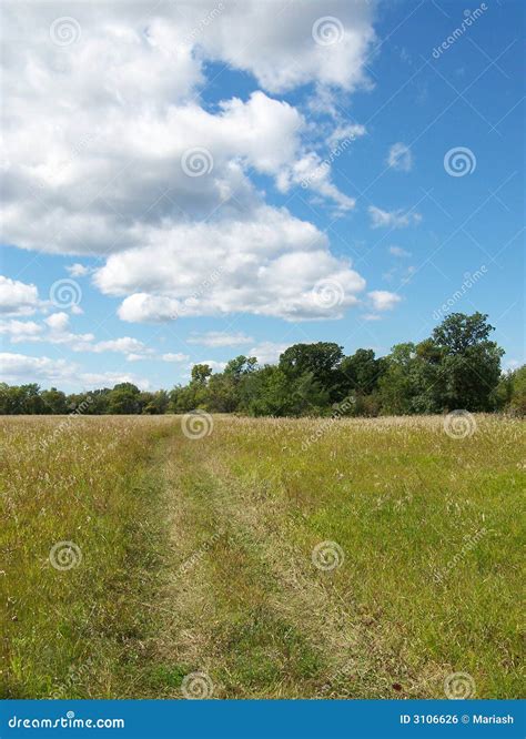 Path Through Grass Stock Photo Image Of Land Field Blue 3106626